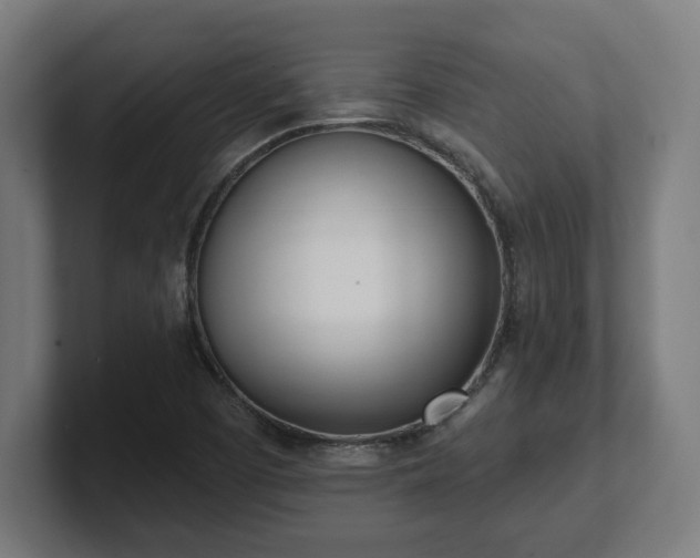 X0000101661457200807171304