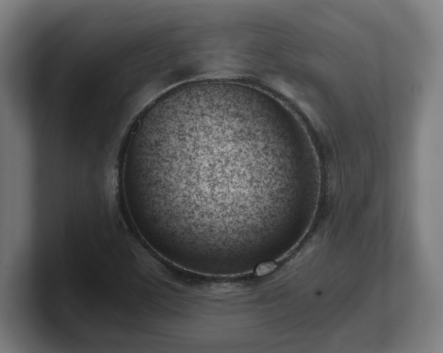 X0000101661459200807171304