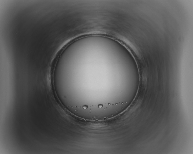 X0000101661460200807171304