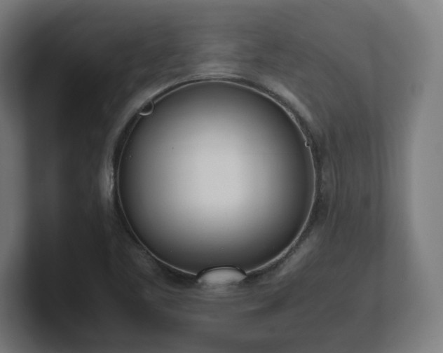 X0000101661461200807171304