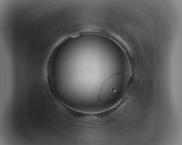 X0000101661463200807171304