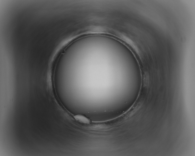 X0000101661464200807171304