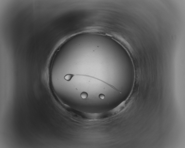 X0000101661467200807171304