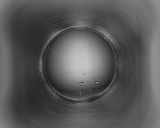 X0000101661468200807171304