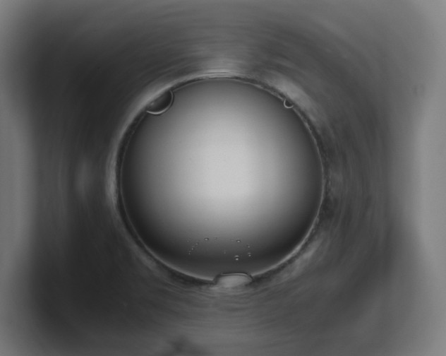 X0000101661469200807171304