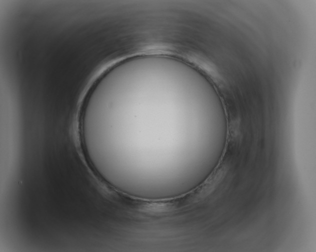 X0000101661470200807171304