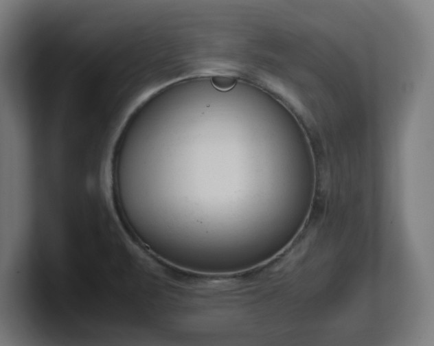 X0000101661471200807171304