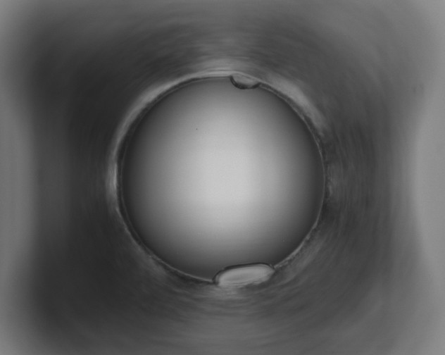 X0000101661472200807171304