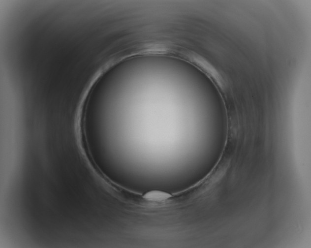 X0000101661475200807171304