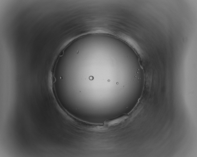 X0000101661476200807171303