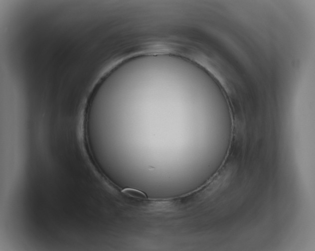 X0000101661477200807171303