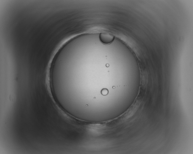 X0000101661478200807171303