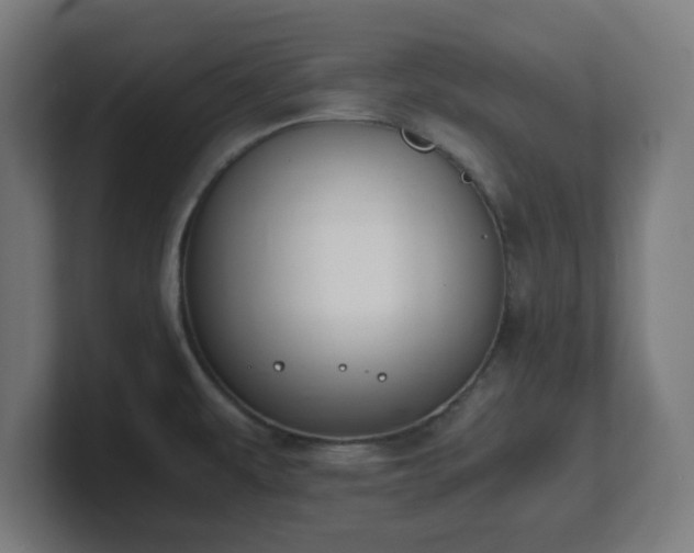 X0000101661479200807171303