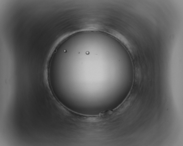 X0000101661480200807171303