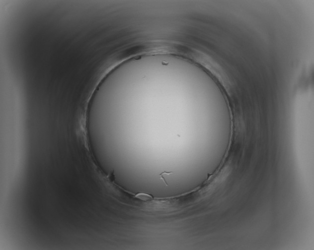 X0000101661481200807171303