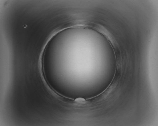 X0000101661483200807171303