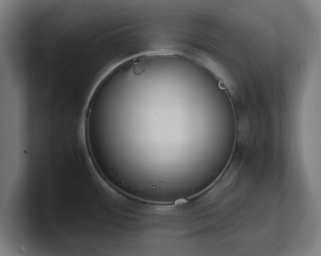 X0000101661484200807171303