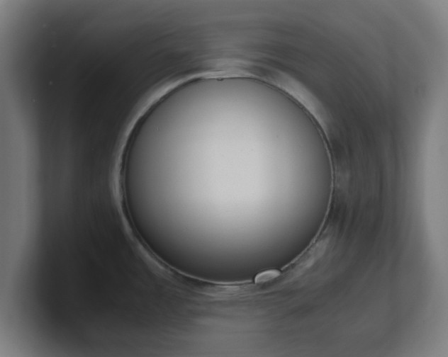 X0000101661485200807171303