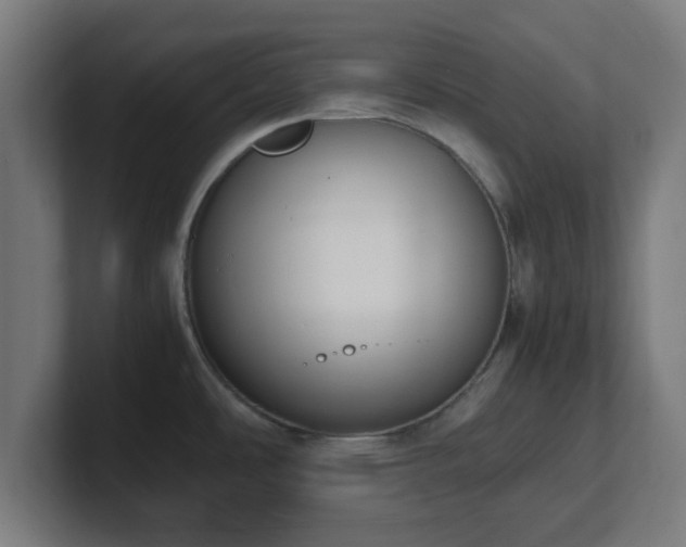 X0000101661486200807171303