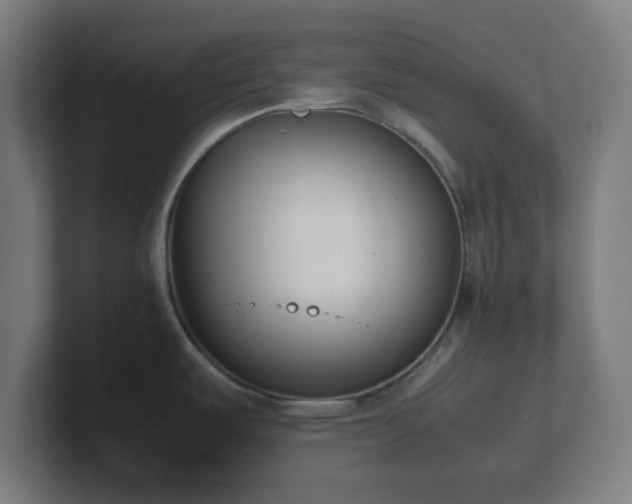 X0000101661487200807171303