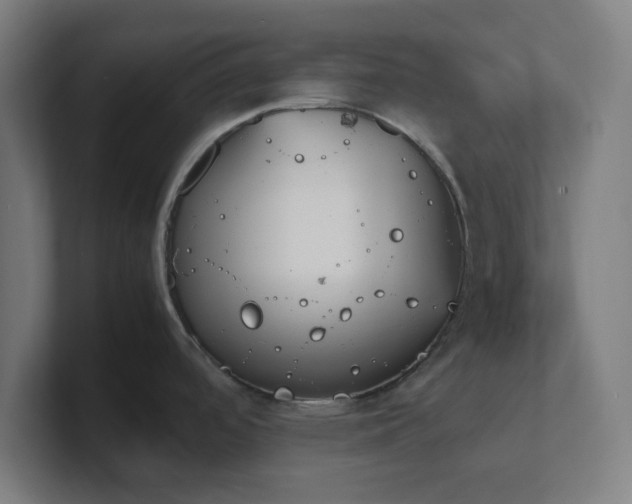 X0000101661488200807171303