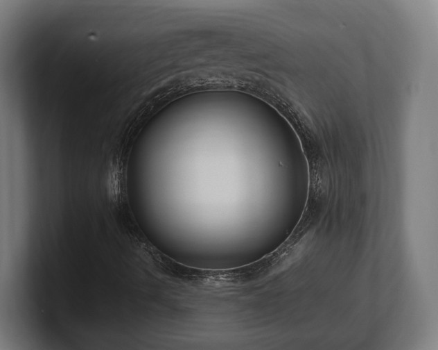 X0000101661490200807171303