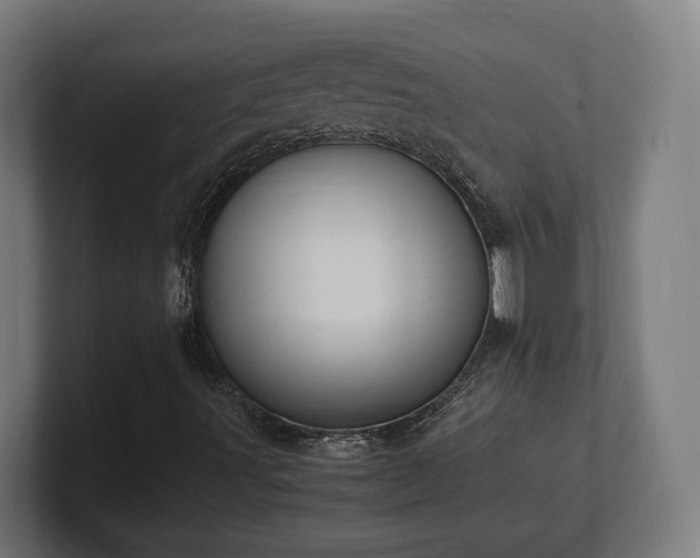 X0000101661491200807171303