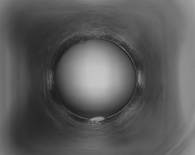 X0000101661492200807171303