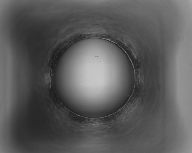 X0000101661493200807171303