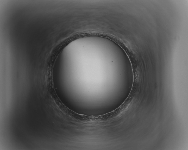 X0000101661494200807171303