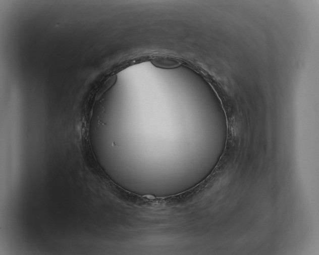 X0000101661495200807171303