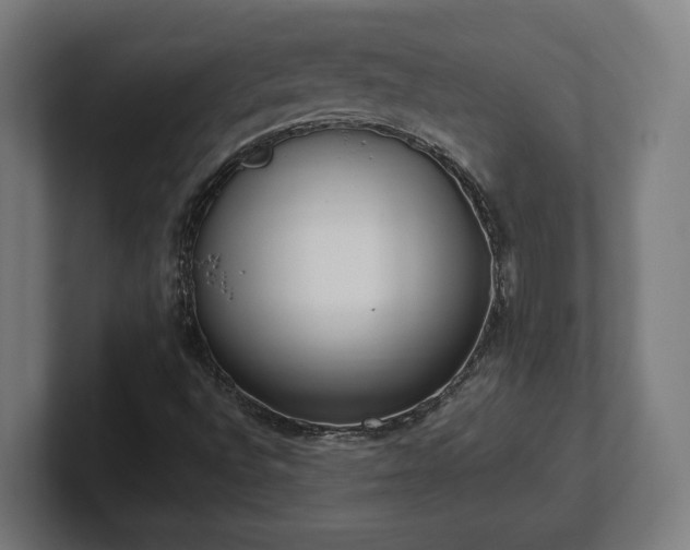 X0000101661496200807171303