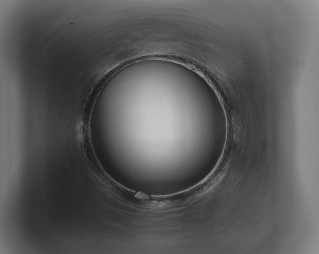 X0000101661497200807171303