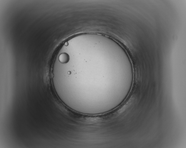 X0000101661498200807171303