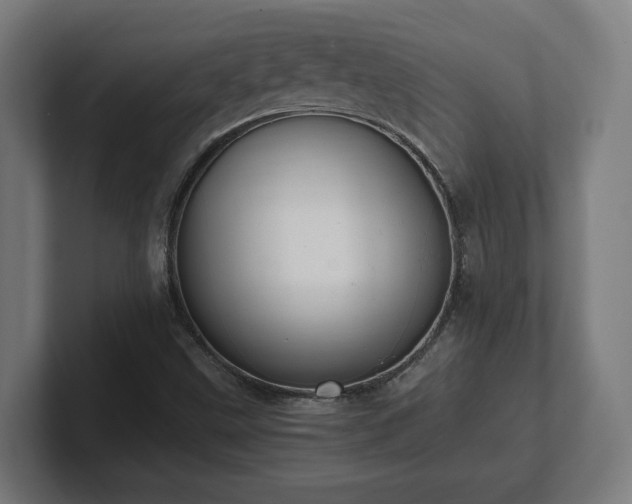 X0000101661499200807171303