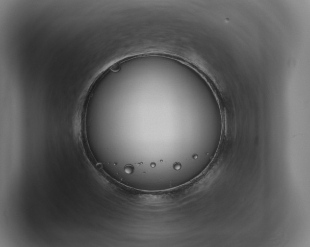 X0000101661500200807171303