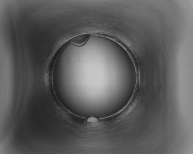 X0000101661501200807171303