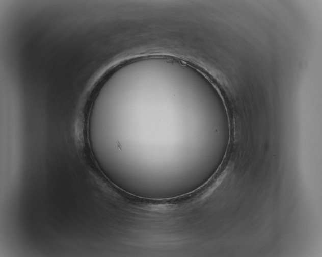 X0000101661502200807171303