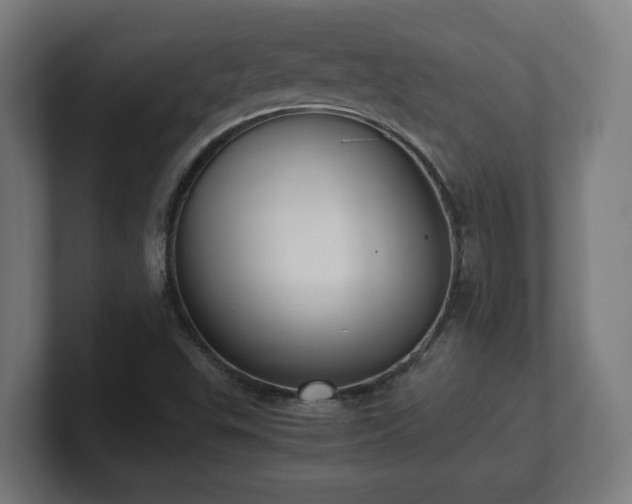 X0000101661503200807171303