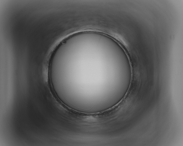 X0000101661504200807171303