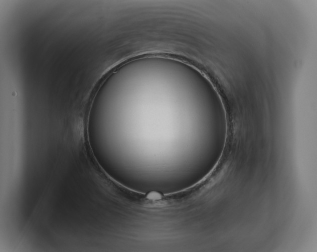 X0000101661505200807171303