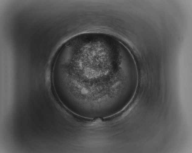 X0000101661506200807171303