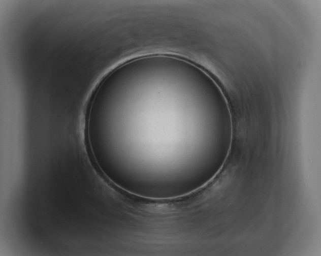 X0000101661508200807171303