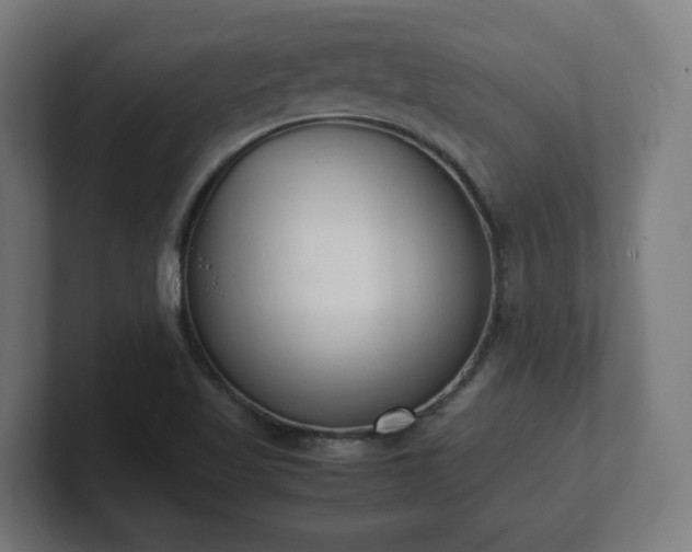 X0000101661509200807171303