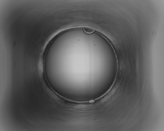 X0000101661510200807171303