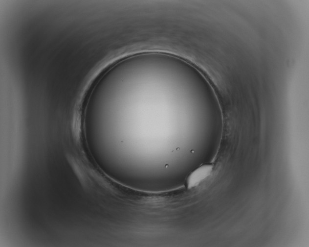 X0000101661511200807171303