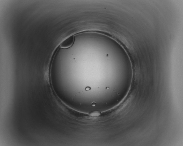 X0000101661513200807171303