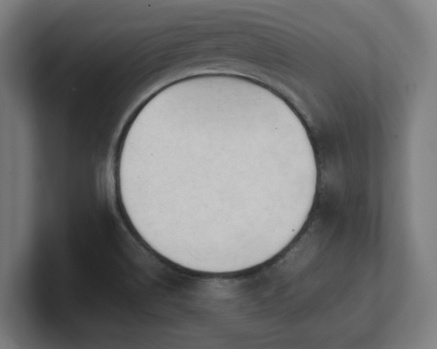 X0000101661514200807171303