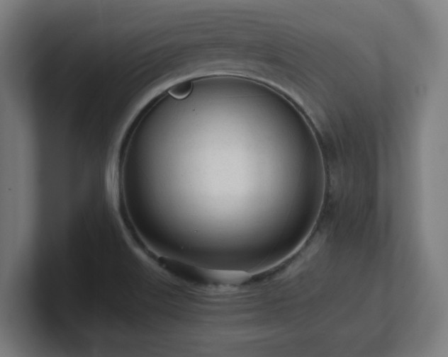 X0000101661515200807171303