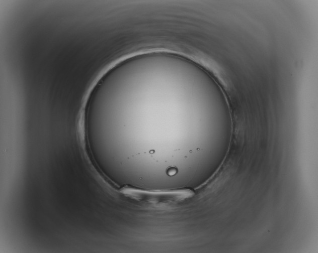 X0000101661516200807171303